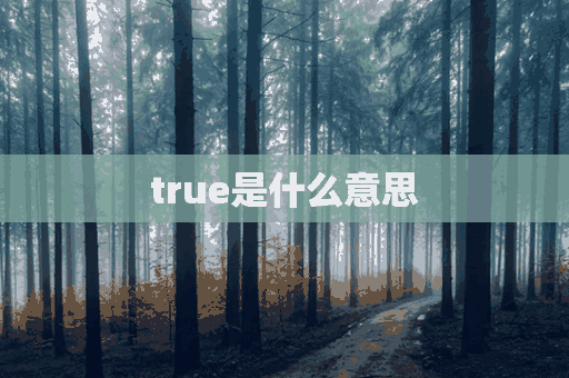 true是什么意思(TRUE是什么意思的缩写)